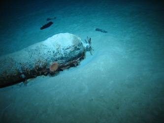 Torpedo on seabed
